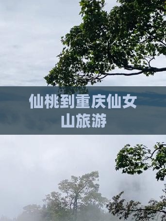 仙桃到重庆仙女山旅游