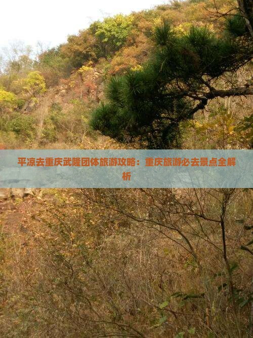 平凉去重庆武隆团体旅游