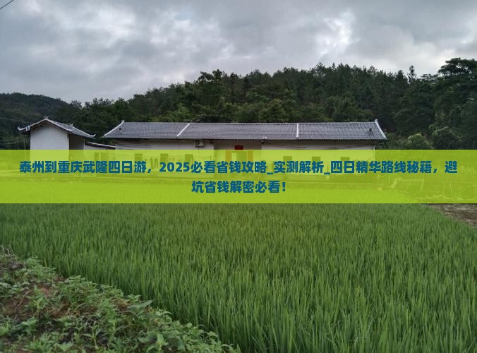 泰州到重庆武隆四日游