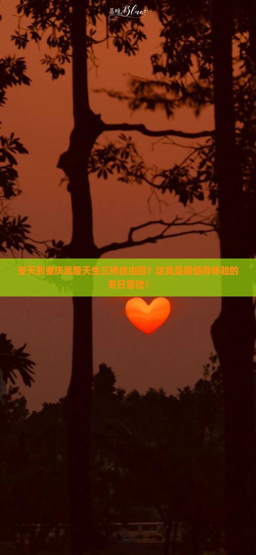 冬天到重庆武隆天生三桥自由团
