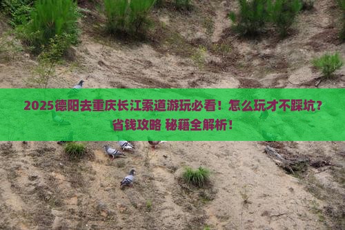 德阳去重庆长江索道哪里玩