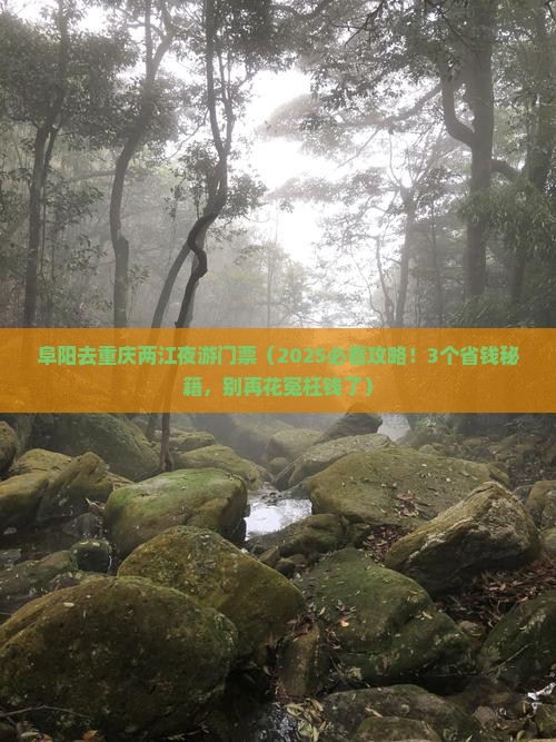 阜阳去重庆两江夜游门票