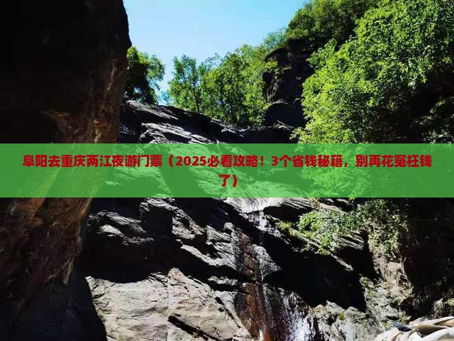 阜阳去重庆两江夜游门票