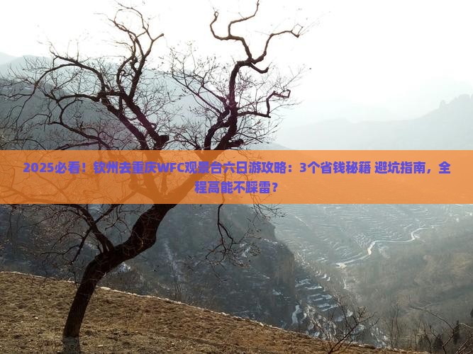 钦州去重庆wfc观景台六日游