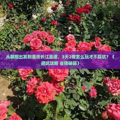 朝阳到重庆长江索道团体旅游