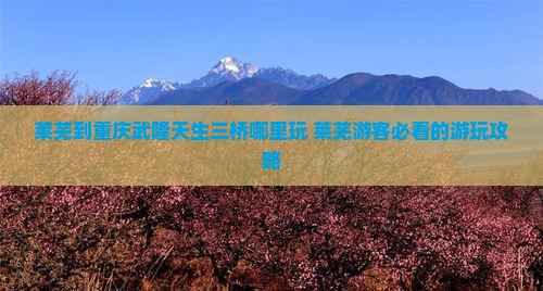 莱芜到重庆武隆天生三桥哪里玩