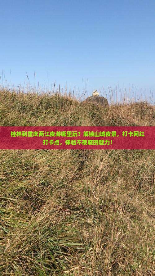 桂林到重庆两江夜游哪里玩