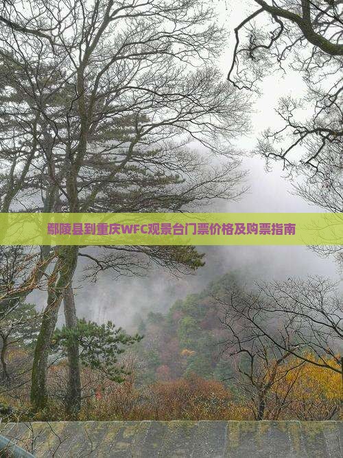 鄢陵县到重庆wfc观景台门票