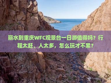 丽水到重庆wfc观景台一日