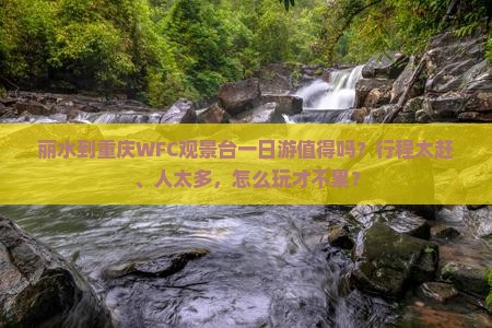 丽水到重庆wfc观景台一日