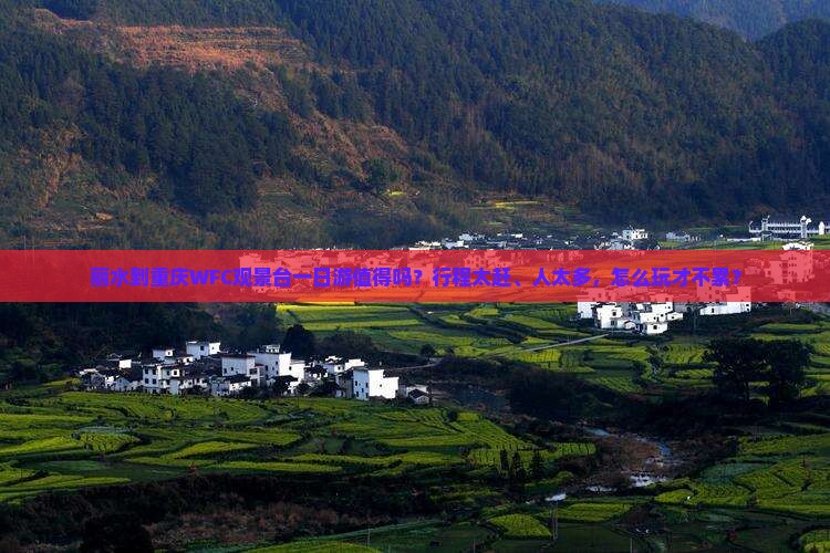 丽水到重庆wfc观景台一日