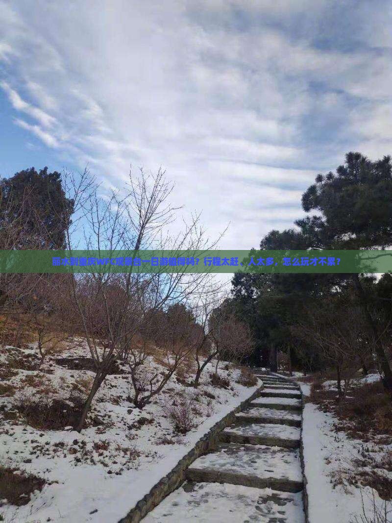丽水到重庆wfc观景台一日