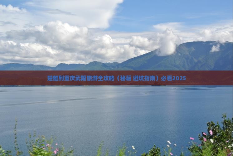 楚雄到重庆武隆旅行社
