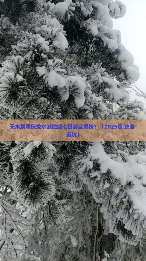 天水去重庆龙水峡地缝七日游