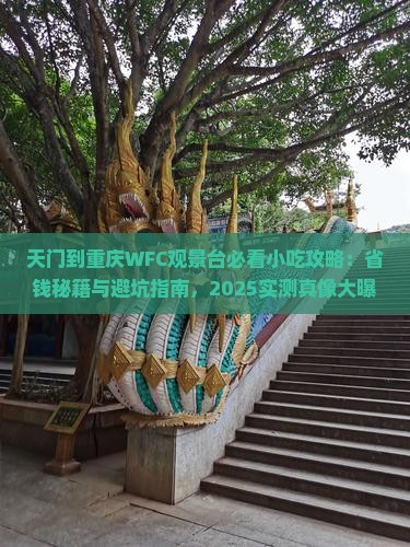 天门到重庆wfc观景台旅游小吃