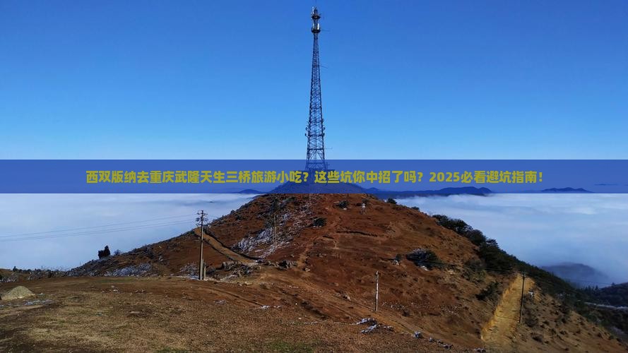 西双版纳去重庆武隆天生三桥旅游小吃