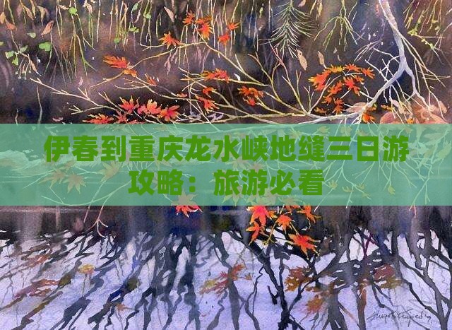 伊春到重庆龙水峡地缝三日游