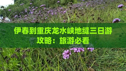 伊春到重庆龙水峡地缝三日游