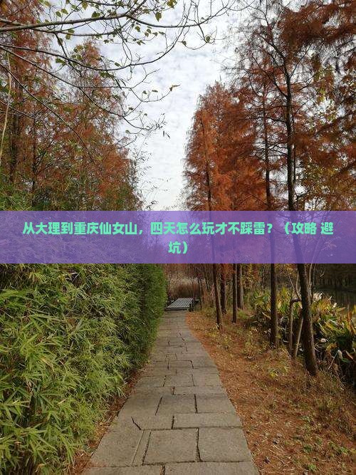 大理去重庆仙女山四日游 大理去重庆仙女山四日游