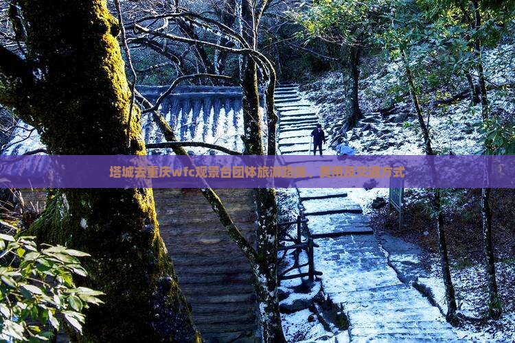 塔城去重庆wfc观景台团体旅游
