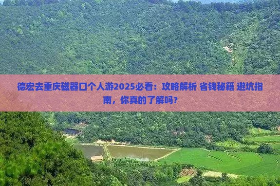 德宏去重庆磁器口个人游