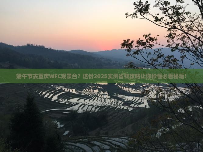 端午节到重庆wfc观景台门票
