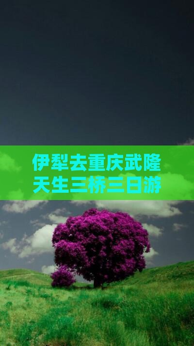伊犁去重庆武隆天生三桥三日游