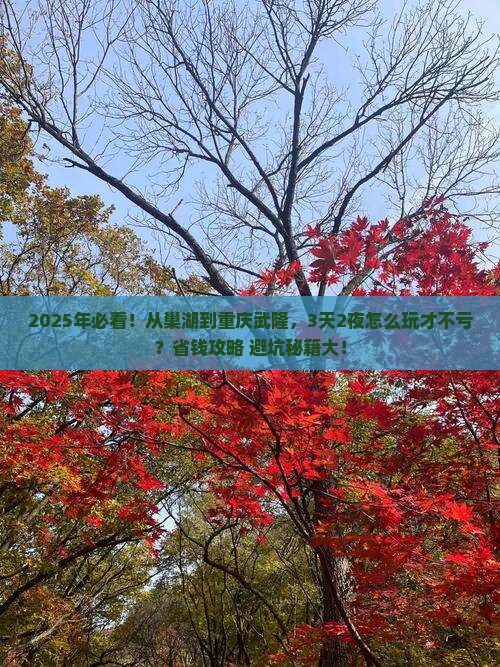 巢湖到重庆武隆攻略