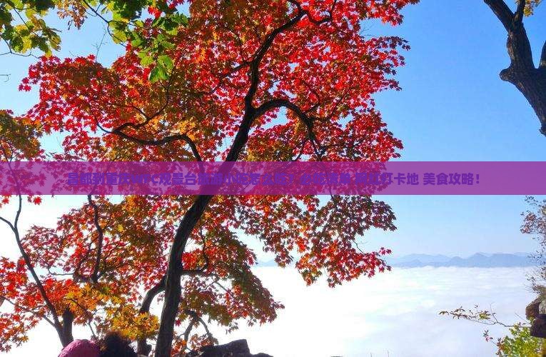 昌都到重庆wfc观景台旅游小吃