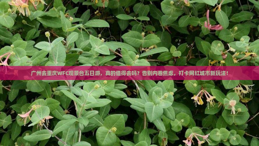 广州去重庆wfc观景台五日游