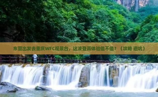 东营去重庆wfc观景台景点