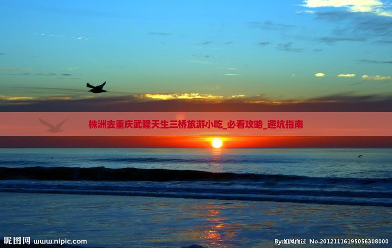 株洲去重庆武隆天生三桥旅游小吃