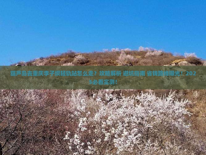 葫芦岛去重庆李子坝轻轨站攻略