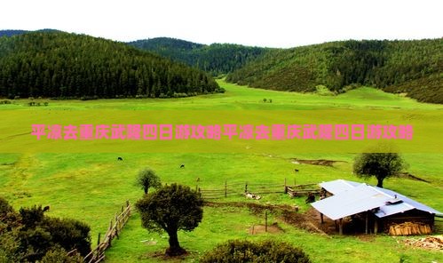 平凉去重庆武隆四日游