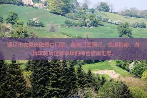 通辽市去重庆磁器口门票