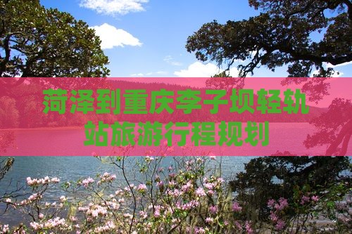 菏泽到重庆李子坝轻轨站旅行社