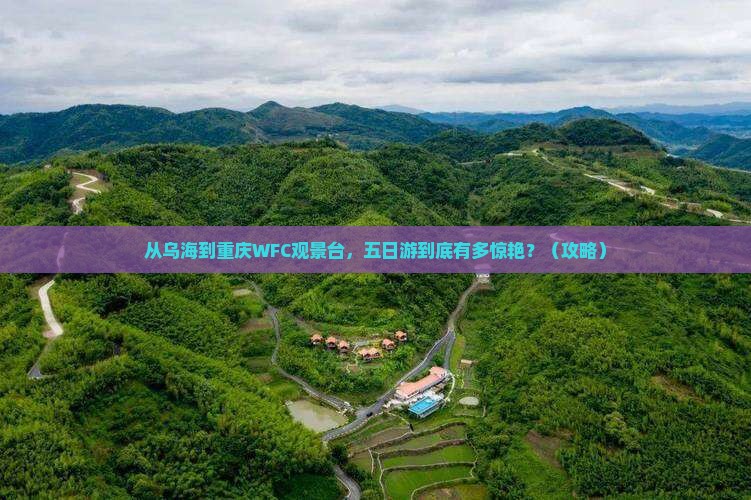 乌海市去重庆wfc观景台五日游