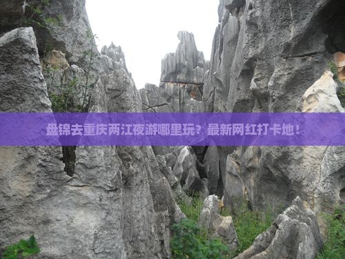 盘锦去重庆两江夜游哪里玩