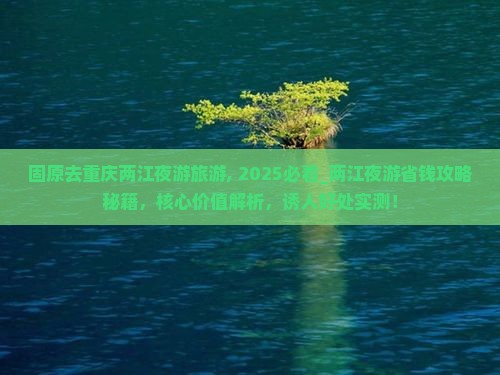 固原去重庆两江夜游旅游