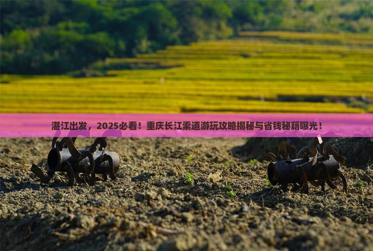 湛江到重庆长江索道景点