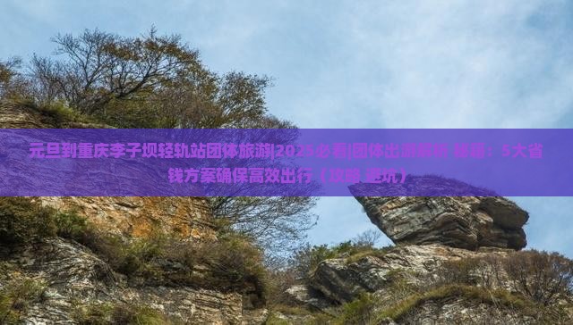 元旦到重庆李子坝轻轨站团体旅游