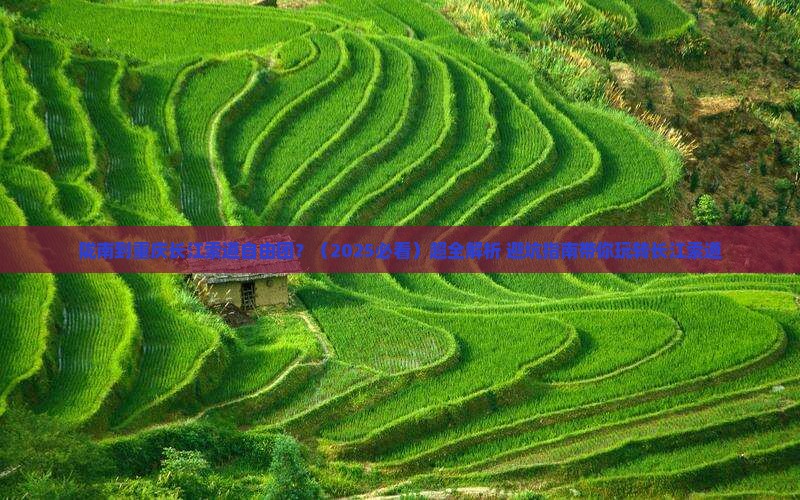陇南到重庆长江索道自由团