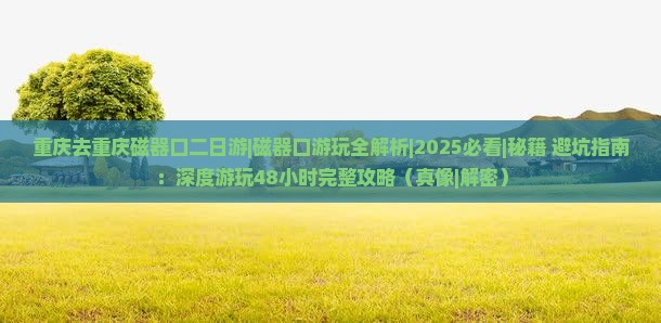 重庆去重庆磁器口二日游