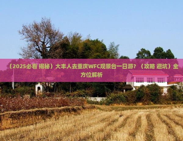 大丰去重庆wfc观景台一日