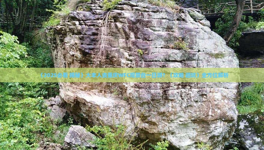 大丰去重庆wfc观景台一日