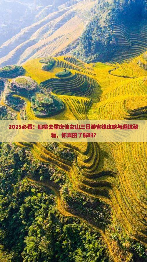 仙桃去重庆仙女山三日游