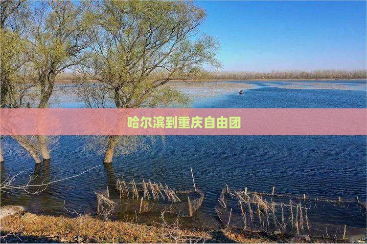 哈尔滨到重庆自由团