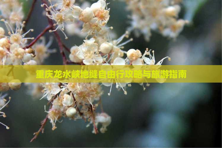 普洱去重庆龙水峡地缝自由行