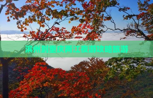 滨州到重庆两江夜游景点