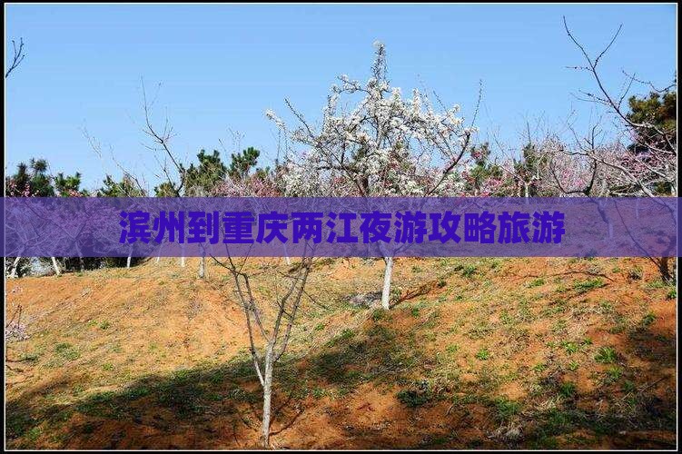 滨州到重庆两江夜游景点